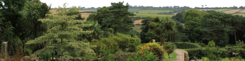 Trenarth Gardens and surrounding countryside